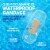 Band-Aid Brand Clear Waterproof Adhesive Bandages, Assorted Perspective: back