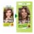 Garnier Nutrisse Nourishing 61 Light Ash Brown Iced Coffee Hair Color Creme Perspective: back