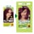 Garnier Nutrisse Nourishing Permanent Hair Color 42 Deep Burgundy Perspective: back