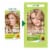 Garnier Nutrisse Nourishing Permanent Hair Color 82 Pearly Blonde Perspective: back