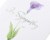American Greetings #41 Sympathy Card (Flower) Perspective: back