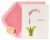 Papyrus Birthday Card (Pink Orchid) Perspective: back