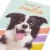 American Greetings Birthday Card - Nothing But Smiles (#39) Perspective: back