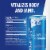 Red Bull Sea Blue Edition Sugar Free Energy Drink Juneberry Can Perspective: back