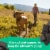 Zuke’s Hip And Joint Soft And Chewy Natural Dog Treats Chicken Recipe Perspective: back
