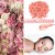 AGPtEK Red Hard Wax Beans Hair Removal Painless Wax Warmer Waxing Beans Natural Pearl Perspective: back