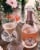 Santa Margherita Brut Rose Sparkling Wine Perspective: back
