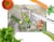 Carolines Treasures  PTW2053LCB Garden Gazebo Hummingbird Duo Glass Cutting Boar Perspective: back
