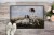 Carolines Treasures HMHE0011JMAT English Pointer by Michael Herring Doormat 24x Perspective: back