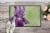Carolines Treasures  TMTR0234MAT Purple Iris by Malenda Trick Indoor or Outdoor Perspective: back