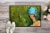 Carolines Treasures MW1237MAT Young Voncile Still in High School Doormat 18x27 Perspective: back
