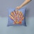 Carolines Treasures  8525PW1414 Scalloped Shell on Blue Fabric Decorative Pillow Perspective: back