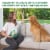 GREENIES Skin & Coat With Omega 3 Fatty Acids Chicken Dog Supplements Perspective: back