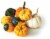Fresh Grown Mini Gourds Bag - Each Perspective: back