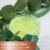 Tuscany Candle™ Serene Clean Collection Eucalyptus Aloe Scented Jar Candle Perspective: back