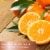 Tuscany Candle™ Serene Clean Collection Tangerine Currant Scented Jar Candle Perspective: back