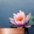 Tuscany Candle™ Serene Clean™ Collection Water Lotus Scented Jar Candle Perspective: back