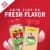 Mccormick Garlic Powder 8.75 oz (Pack of 6) Perspective: back