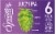Squatters® Juicy IPA Craft Beer Perspective: back