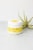 Grapefruit Body Salt Scrub - Moisturizing and fresh Perspective: back