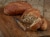 Izzio Lucky 7 Grain Bread Perspective: back