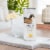 Decoy Premium Chardonnay with Lemon & Ginger Wine Hard Seltzer Low Calorie Perspective: back