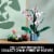 LEGO® Botanical Collection Succulents Building Set Perspective: back