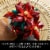 LEGO Icons Poinsettia Plant Building Set and Centerpiece Table Decoration 10370 Perspective: back