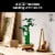LEGO Botanicals Lucky Bamboo Building Set for Adults 10344 Perspective: back