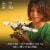 LEGO Technic Bush Plane Building Toy 42198 Perspective: back