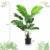 2 Pack Artificial Monstera Deliciosa Tree 4ft Faux Plant w/ Cement-Filled Pot Perspective: back