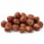 Nuts.com Hazelnuts in Shell - Whole & Raw Jumbo - 1 lb Bag (Non-GMO, Gourmet, Freshly Harvest Perspective: back