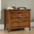 Pemberly Row 2 Drawer Lateral File Cabinet in Washington Cherry Perspective: back