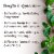 Plant Therapy Aromatherapy Diffusible 100mL Essential Oil, 3.3 Oz, Peppermint Perspective: back