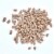 Pit Boss 55433 40 Pound Package BBQ Wood Pellets for Pellet Grill, Apple Flavor Perspective: back