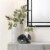 Jamie Young Co Gwendolyn Coastal Glass Hand Blown Vases in White (Set of 3) Perspective: back