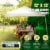 Caravan Canopy 12ft x 12ft V-Series 2 White Perspective: back