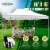Caravan Canopy 10ft x 15ft Titanshade Canopy Perspective: back