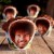 Prime Party Bob Ross Cupcake Wrappers (Set of 12) Perspective: back