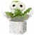 White Blooming Flowers in Birch Gift Box Perspective: back