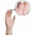 AMMEX Vinyl, Latex & Powder Free, Medical Disposable Gloves, Medium, Clear, 100/Box (2-Pack) Perspective: back