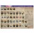 Ashley Productions Smart Poly 12  x 17  Constitution/Bill of Rights Learning Mat Perspective: back