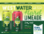Uinta Westwater Cherry Limeade / Limeade Hard Seltzer Perspective: back