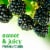 Fresh Organic Blackberries Perspective: back