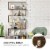 Slickblue 6 Tier S-Shaped Bookshelf Storage Display Bookcase Decor Z-Shelf Perspective: back