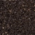Wild Delight Premium Grade Black Oil Sunflowers Perspective: back
