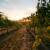 Waterbrook Chardonnay Washington White Wine Perspective: back