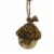 Holiday Ornaments Forest Floor Acorn Fall Oaknut Shell Go236s Silver Perspective: back