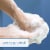 Dial Antibacterial Deodorant Bar Soap, Mountain Fresh (Pack of 24) Perspective: back