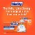 Hefty Ultra Strong Tall Kitchen Trash Bags Unscented (Pack of 32) Perspective: back